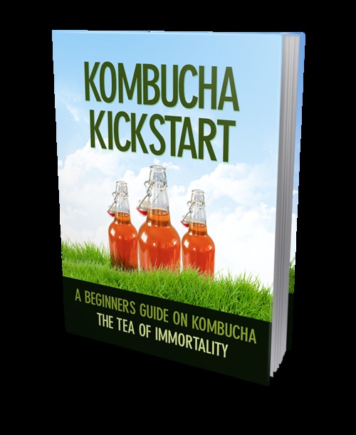 Product picture Kombucha Kickstart
