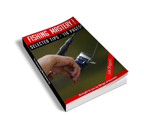 Product picture Fishing Mastery!