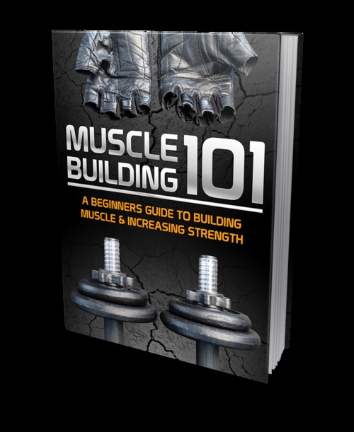 Product picture Muscle Building 101 A Beginners Guide