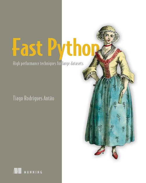 Product picture Fast Python: High performance techniques for large datasets