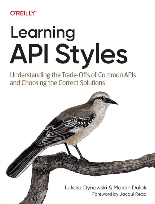 Product picture Learning API Styles