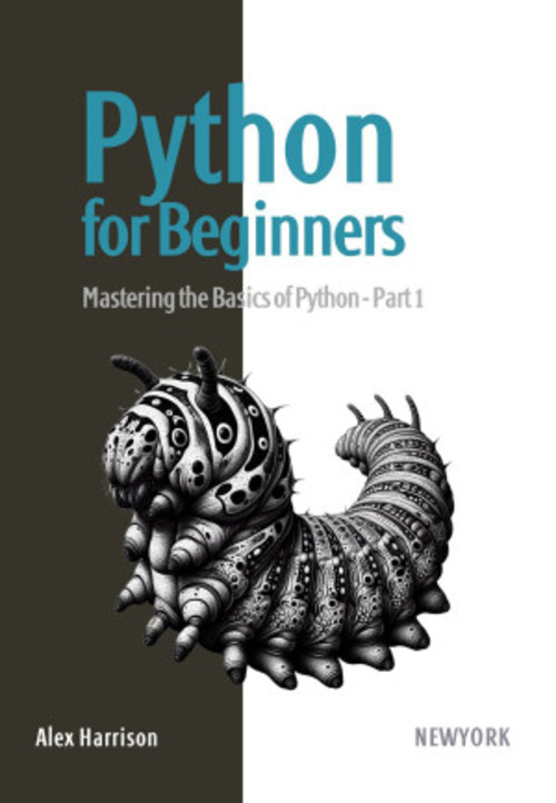 Product picture Python for Beginners